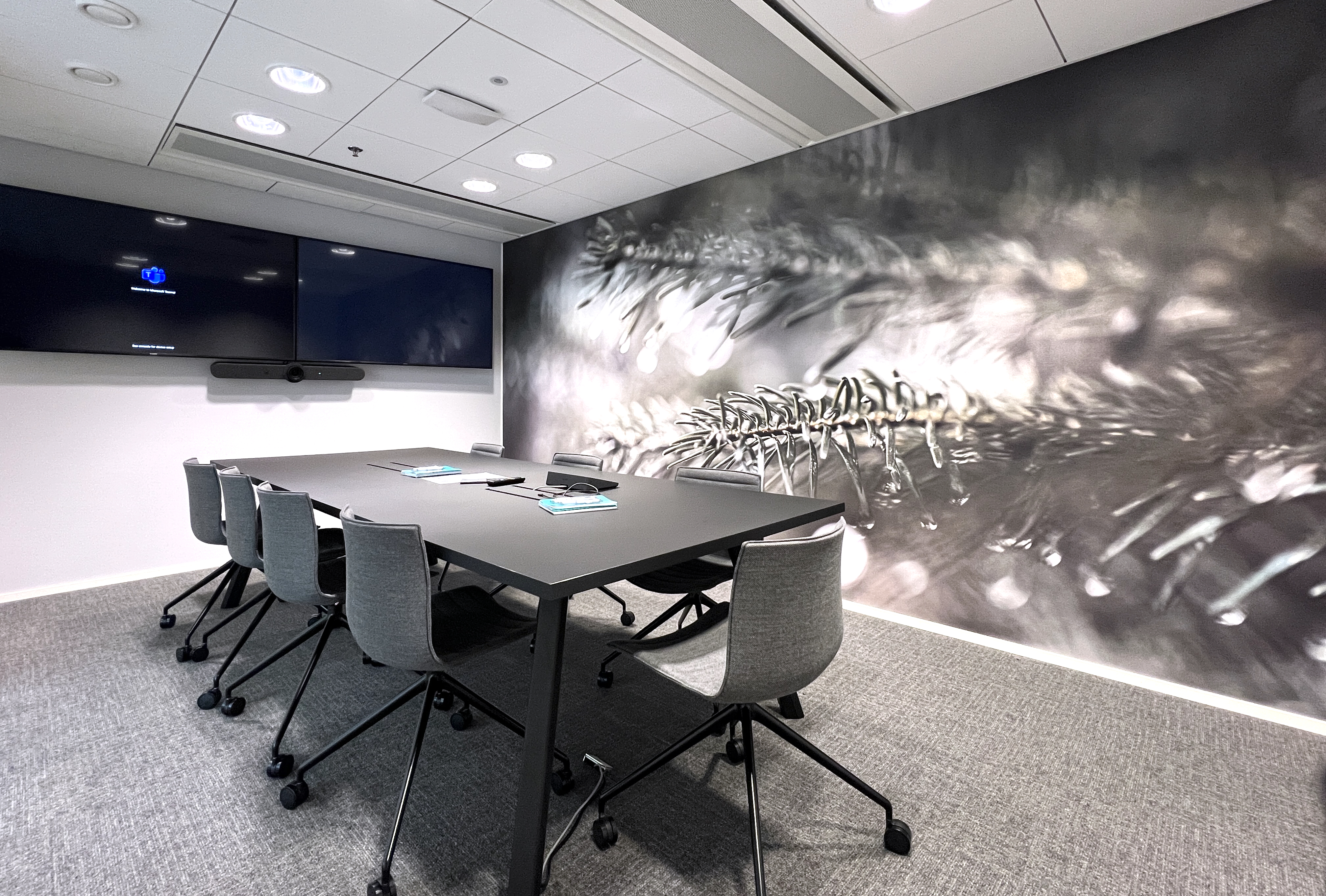 A photo of Dun & Bradstreet Office Helsinki meeting room with nature image on wall