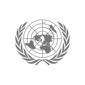 The United Nations logo in grey