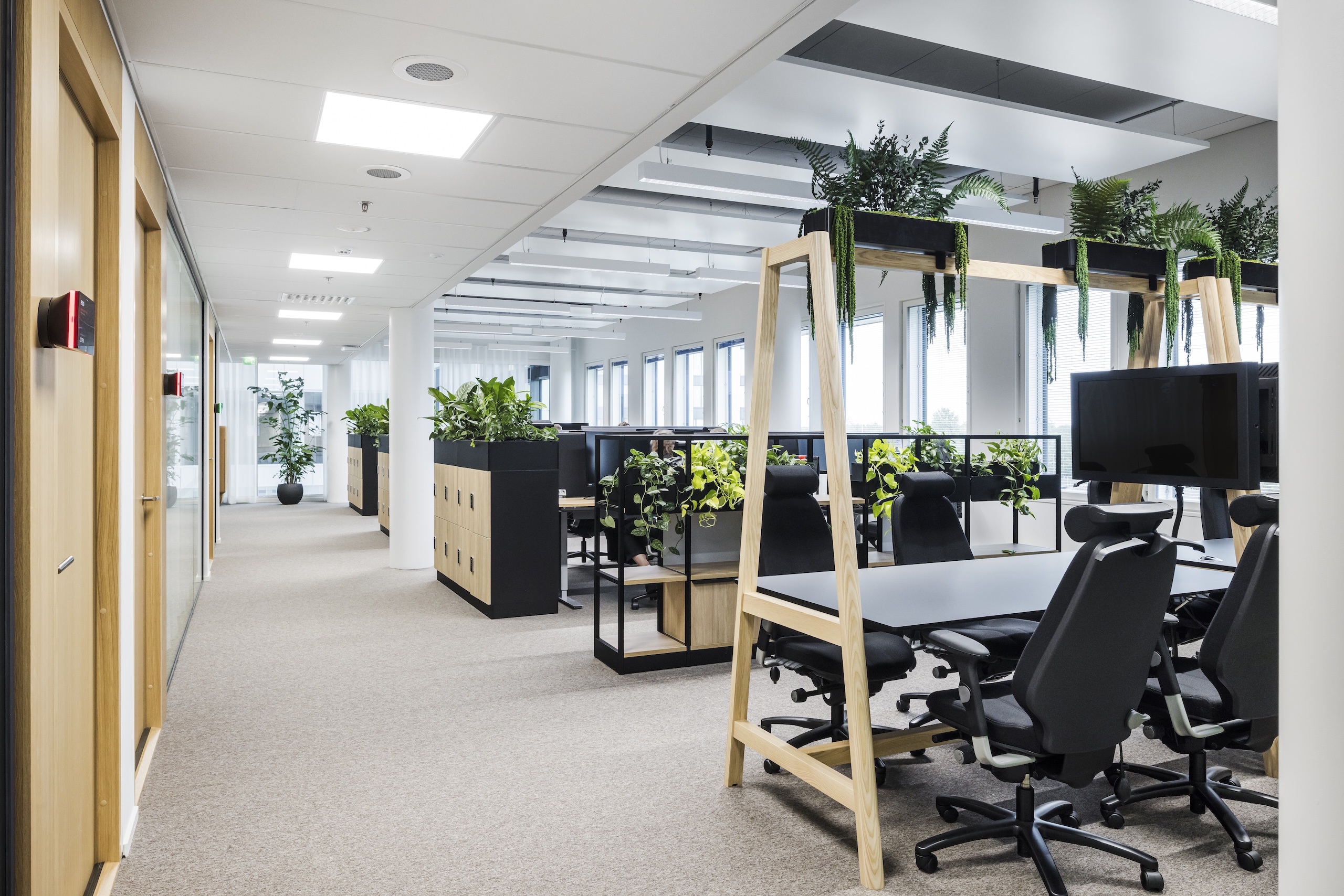 An interior view of a green and lush office space, with natural wood and lots of planting